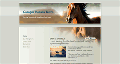 Desktop Screenshot of casaguahorses.net